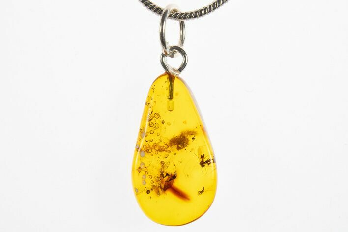 Polished Baltic Amber Pendant (Necklace) - Wasp, Aphid & Fly! #311014